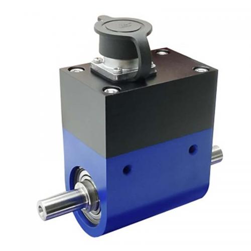 Dynamic torque sensor
