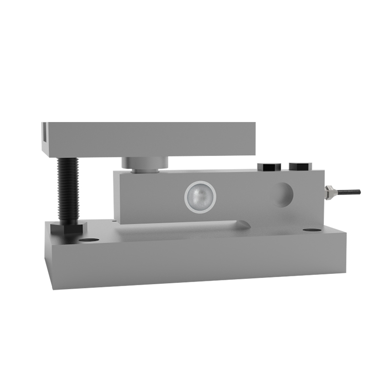 Introduction to Weighing Modules